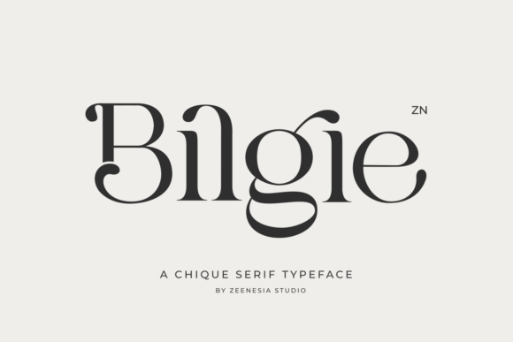 Elegant Serif Font Bilgie for Handmade Labels and Wedding Invitations