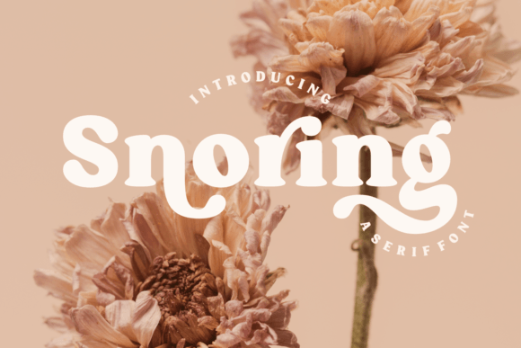 Snoring Font: A Charming Serif for Creative Projects